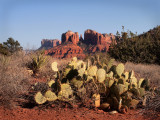 P3112291 - Cathedral Rock, Sedona.jpg