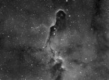 IC1396. The elephant's trunk
