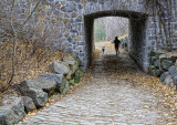 Les coureurs / The Joggers