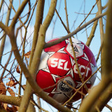2011-03-22 Football in tree