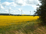 2011-06-24 Wind turbines