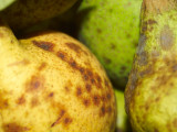 2011-10-04 Pears