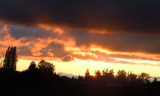 Auburn Wa Sunset.jpg