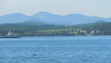 Ferry, Adirondaks & Loon.jpg