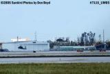 USAF H-60s Blackhawks landing at a deserted Signature ramp after Hurricane Wilma military aviation stock photo #7115