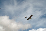 35th Anniversary of Eastern Airlines flight 401 crash memorial service - ultralight dropping rose petals, photo #2909