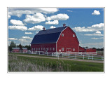 Red Barn in Summer