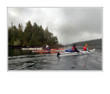 Kayaking In The Johnstone Strait