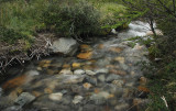 Stream next to the hiking trail