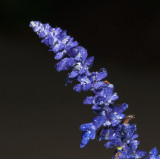 After the Rain