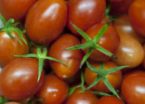 Cherry Tomatoes at ISO 3200