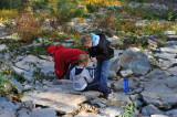 Looking for Fossils