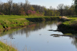 Mallards over Loramie Creek