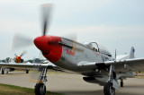 Up Close to the Roar of P-51s