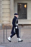 Guard at royal palace