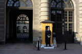 Guard at royal palace