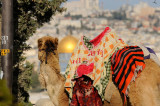 Looking at the Dome of the Rock