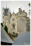 Chateau Montreuil-Bellay_D3B7704.jpg