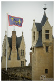Chateau Montreuil-Bellay_D3B7728.jpg