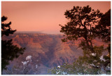 Grand Canyon South Rim_D3B0127.jpg