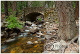 535-Yosemite National Parkt_DSC7794.jpg