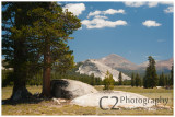 545-Tuolomne Meadows - 9000 feet above sea level in Yosemite_DSC7847.jpg