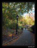 Central Park from the Upper East side