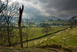 Dales pics were taken during a shortish - 4 mile - walk starting at Hawes, going north a mile or so and then turning west to Hardraw, and back downhill to Hawes.