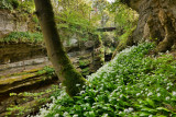 How Stean Gorge, Lofthouse, Nidderdale 2239hdr.jpg