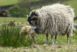 new born and mum