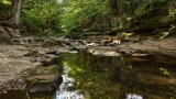 How Stean Gorge, Lofthouse, Nidderdale IMG_2173.jpg