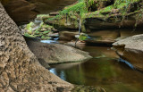 How Stean Gorge, Lofthouse, Nidderdale IMG_2319.jpg
