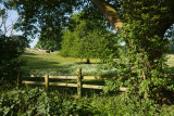 Green Lane, Eppleworth IMG_3320.jpg