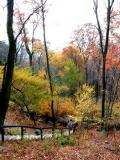 DSCN2943_02.jpg