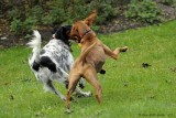 Bodie & Becket
