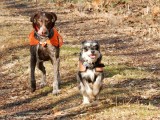 Rook & Jillie