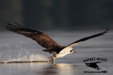 Osprey – Comfort Movements – Dragging Feet in water