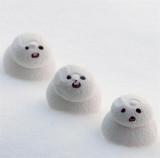Frosty the snow man and his friends  ----  cest  assez  la neige chu pu capable