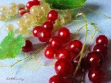 pearly currants