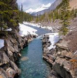 Icefields Parkway Creek