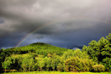 After The Rain Late Sunday the Sun Came Out Late 4/22/12