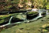 A Unique Cascades on Carrick Creek 