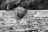 Forgotten rope,