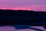 Harris Neck NWR Sunset