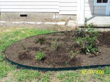 New Front Landscaping 021.JPG