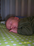 Thanksgiving 2011 049.JPG