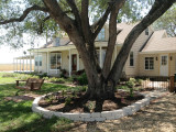 House Update Pics July 2012 012.JPG