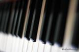 CC #8 - Ebony and Ivory - Stevie Wonder