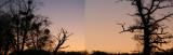 Dawn stitch up