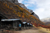 Luorong Farm 諾絨牛場